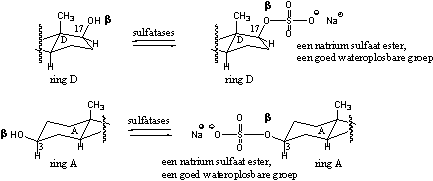 Schema 8