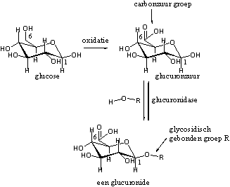 Schema 9
