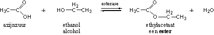 Schema 11