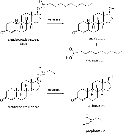 Schema 13