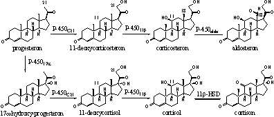 Schema 3