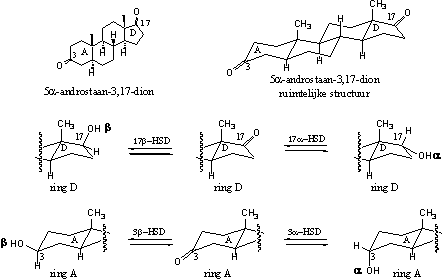 Schema 4