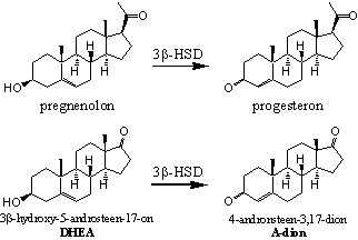 Schema 5