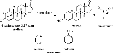 Schema 7