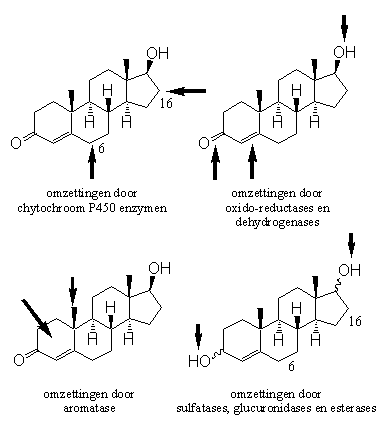 Schema 1