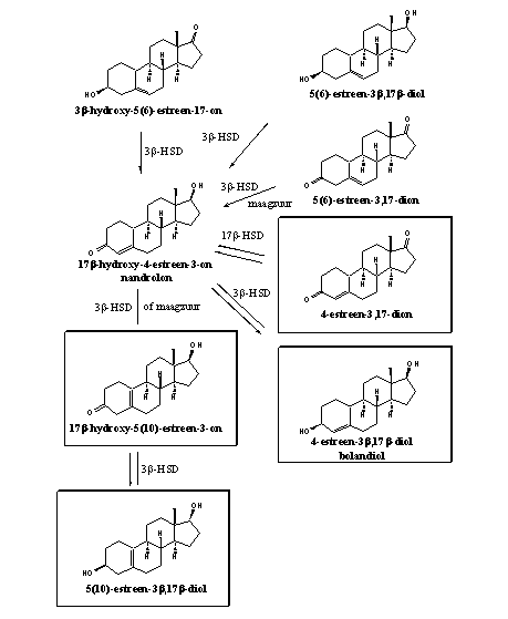 Schema 3
