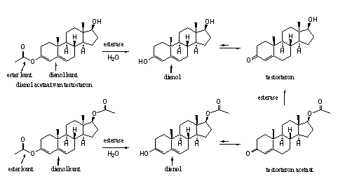 Schema 3