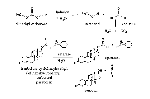 Schema 4