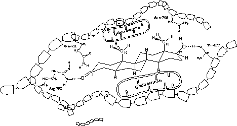 Klik op de figuur voor een grotere versie