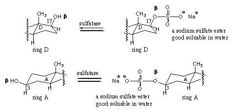 Scheme 8