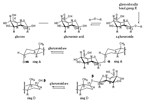 Scheme 9