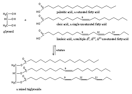 Scheme 11