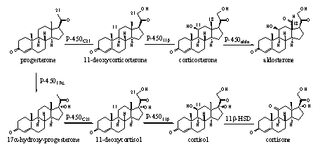 Scheme 3