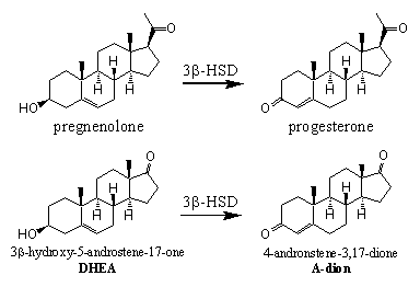 Scheme 5