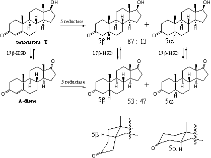 Scheme 3