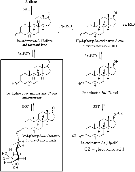 Scheme 5