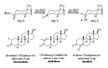 Scheme 3
