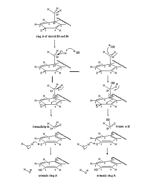 Scheme 5