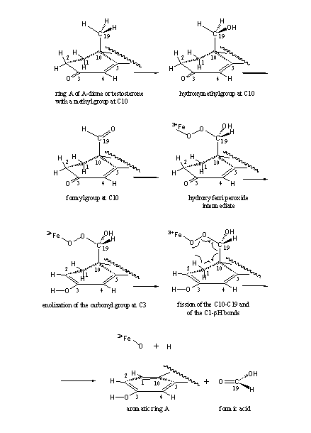 Scheme 2