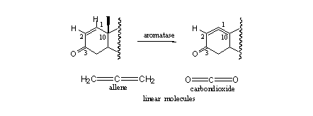 Scheme 4