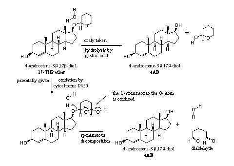 Scheme 3