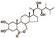 24-Epibrassinolide