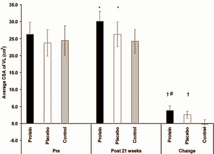 Vijftien gram whey voordat je gaat krachttrainen, en nog eens vijftien gram erna