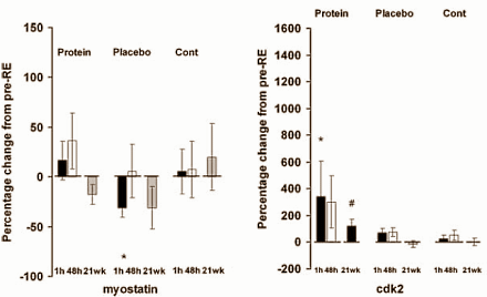 Vijftien gram whey voordat je gaat krachttrainen, en nog eens vijftien gram erna