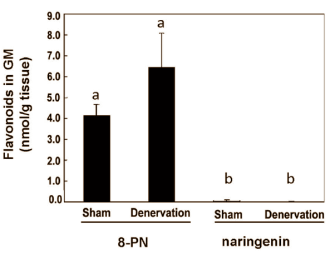 8-Prenylnaringenin, een natuurlijk anabolicum voor vrouwen