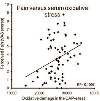 Een functional food op basis van acaibessen en glucosamine verhoogt de flexibiliteit van gewrichten die niet meer goed functioneren. Dat ontdekten onderzoekers van het particuliere NIS Labs [nislabs.com] in een kleine studie waaraan 14 mensen van 44-84 jaar meewerkten met niet al te ernstige gewrichtsklachten.