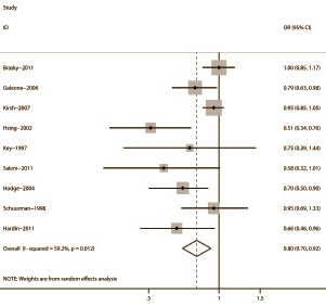 Knoflook, prostaatkanker en Death Receptor 4