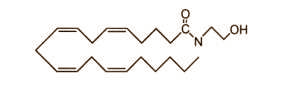 Anandamide