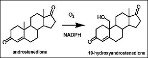 Methyl-ATD beter voor PCT dan ATD