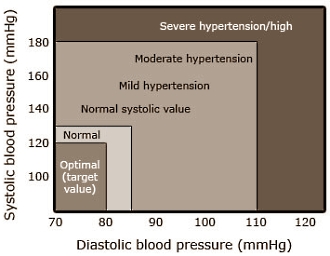 Krachttraining beschermt bij hoge bloeddruk