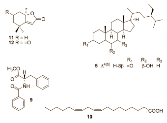 Sterke natuurlijke anti-oestrogenen in Brassaiopsis glomerulata