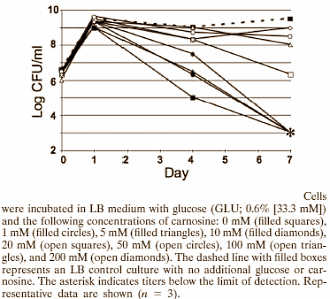 Hoe bèta-alanine je levensduur verlengt