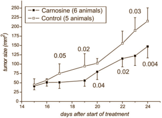 Dierstudie: carnosine remt tumorgroei