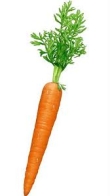 Elke 10 gram wortel - bron van carotenoiden - maakt kans op prostaatkanker 5 procent kleiner
