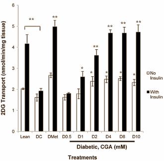 Chlorogenic acid  is een prominent bestanddeel van koffie en supplementen met Green Coffee Bean-extract. De verbinding is misschien geschikt voor gebruik in bodybuilding-, afslank- en duursportsupplementen, suggereert een studie van de National University of Singapore. Chlorogenic acid verhoogt de gevoeligheid van spiercellen voor insuline, en jaagt glucose de spiercel in.