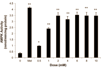 Chlorogenic acid  is een prominent bestanddeel van koffie en supplementen met Green Coffee Bean-extract. De verbinding is misschien geschikt voor gebruik in bodybuilding-, afslank- en duursportsupplementen, suggereert een studie van de National University of Singapore. Chlorogenic acid verhoogt de gevoeligheid van spiercellen voor insuline, en jaagt glucose de spiercel in.