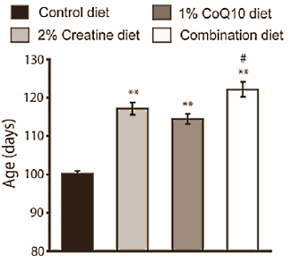 De combinatie van twee sportsupplementen vertraagt misschien de snelheid waarmee bij de ziekte van Parkinson en Huntington onmisbare hersencellen afsterven. Als je de dierstudies van neurologen van Cornell University extrapoleert naar mensen, dan verlengen creatine en Q10 de levensduur van mensen met Parkinson en Huntington - en misschien ook bij gezonde mensen.