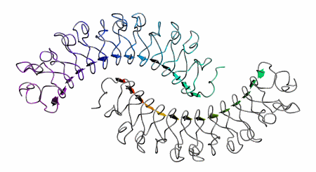 Myostatinremmer en follistatinbooster decorin sleutelfactor in spiergroei