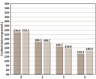 DHEA-suppletie verlaagt cortisolspiegel