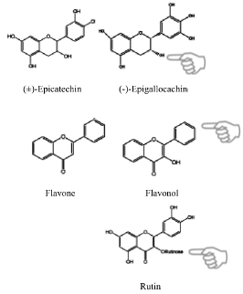Flavonoiden remmen omzetting van calorieen in vet