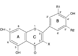 Flavonoiden remmen omzetting van calorieen in vet