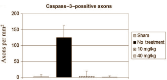 Visolie voor boksers