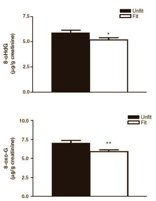 Word fitter, verouder langzamer