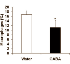 GABA: lichaamsvetremmer en insulineversterker