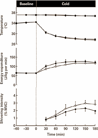 Supplement met EGCG en cafeine verdrijft de kou