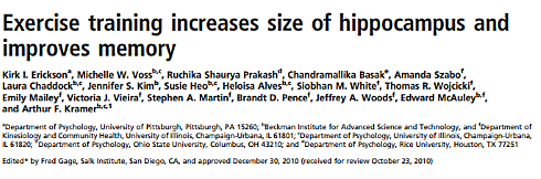 Veroudering laat hersenen krimpen, cardiotraining laat ze groeien